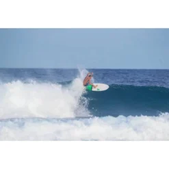 Surfboard TORQ Epoxy TET 7.2 Fish Pinlines -Torq Surfboard Shop 20145 4wwB3dqOuxsTM6 1280x1280